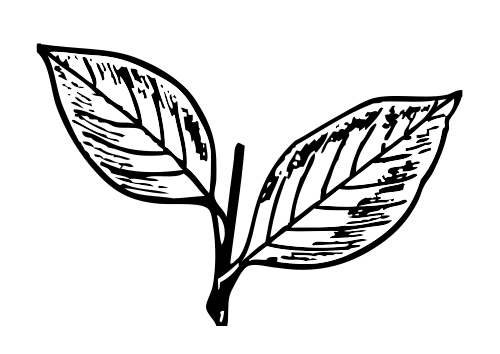 AIADMK symbol