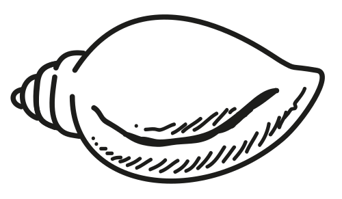 BJD symbol
